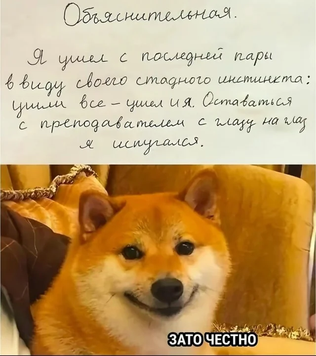 Крутой и актуальный юмор