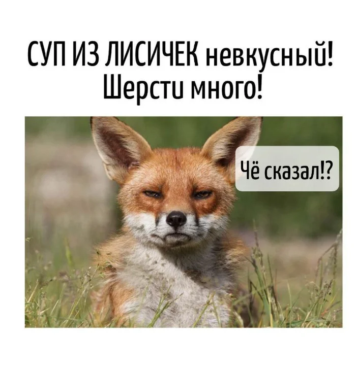 Игра слов – каламбуры, словесный юмор и прикольные картинки #109 Игра слов – каламбуры, словесный юмор и прикольные картинки #109