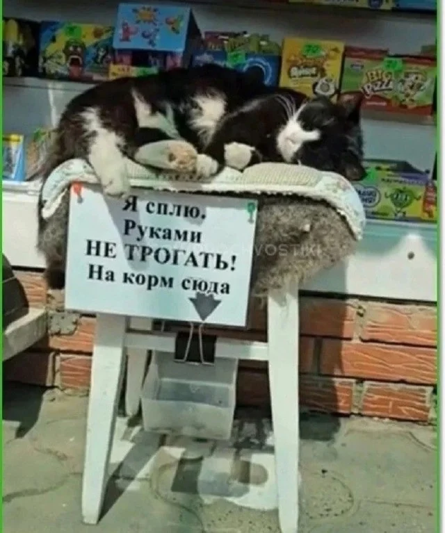 Крутой и актуальный юмор