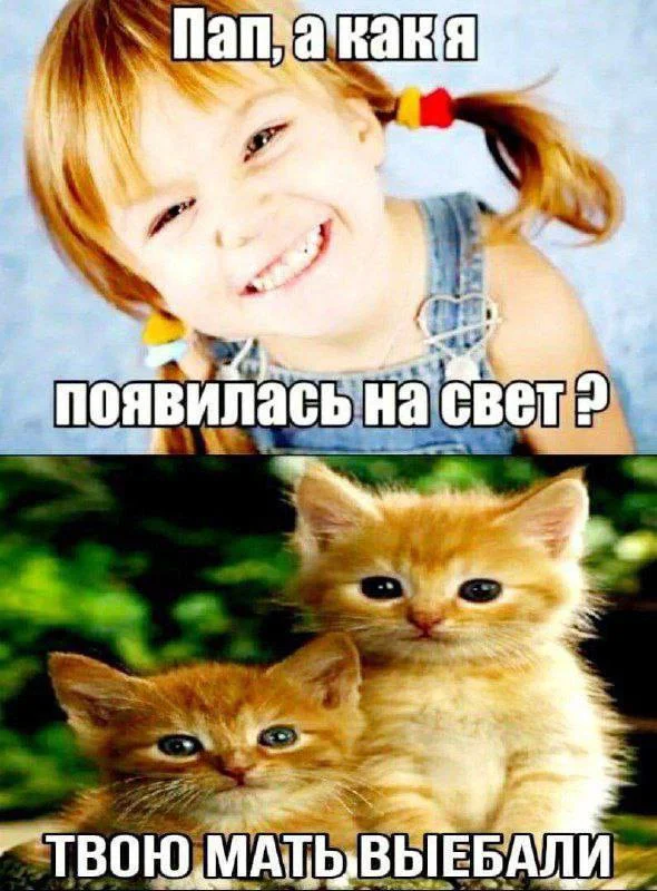 Нестандартный юмор #457