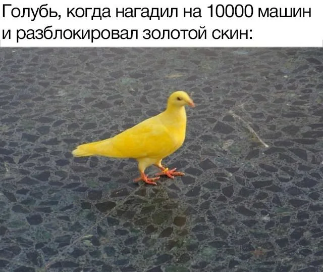 Отгружаю деградацию