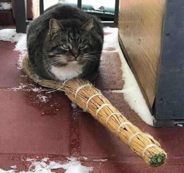 Во-первых картинки!