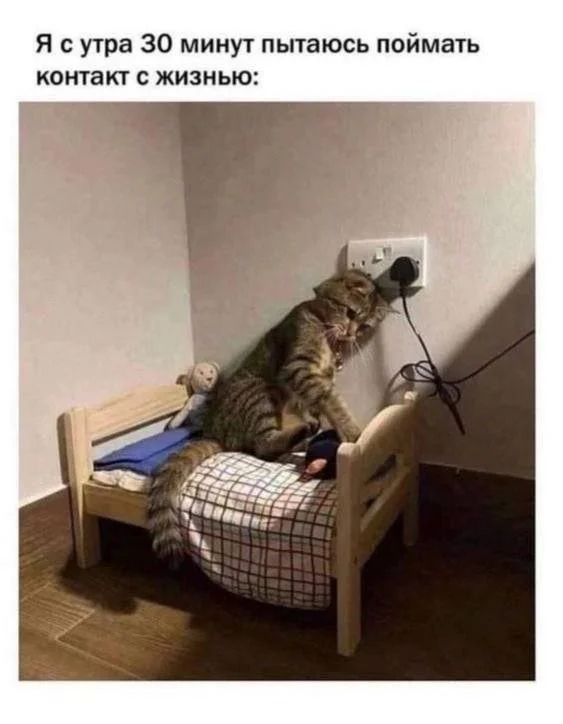 Смешные скрины из соцсетей #90 Смешные скрины из соцсетей #90
