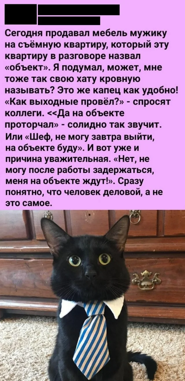 Актуальные мемы