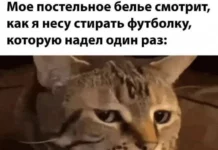Классные и веселые картинки!