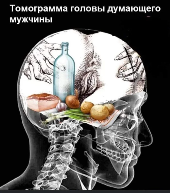 Нестандартный юмор #443 Нестандартный юмор #443