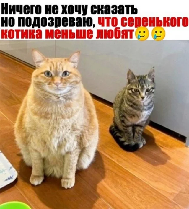 Актуальные приколы