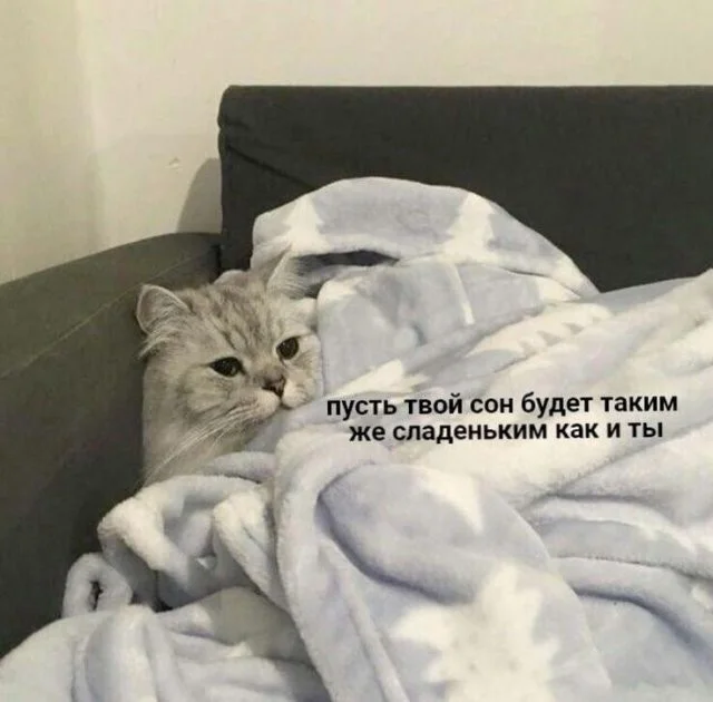 Смешные скрины из соцсетей #94 Смешные скрины из соцсетей #94