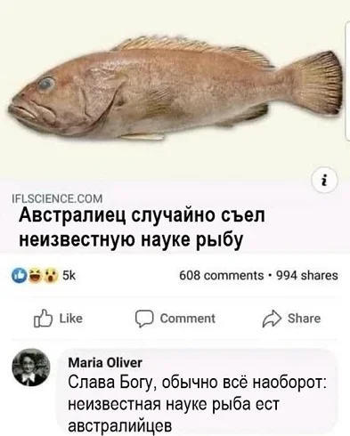 Вот и картинки