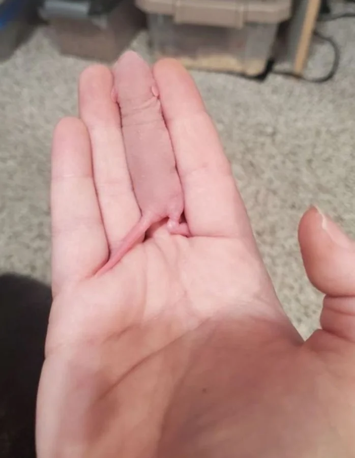 22 фото-иллюзии, которые обманут ваш взгляд 22 фото-иллюзии, которые обманут ваш взгляд