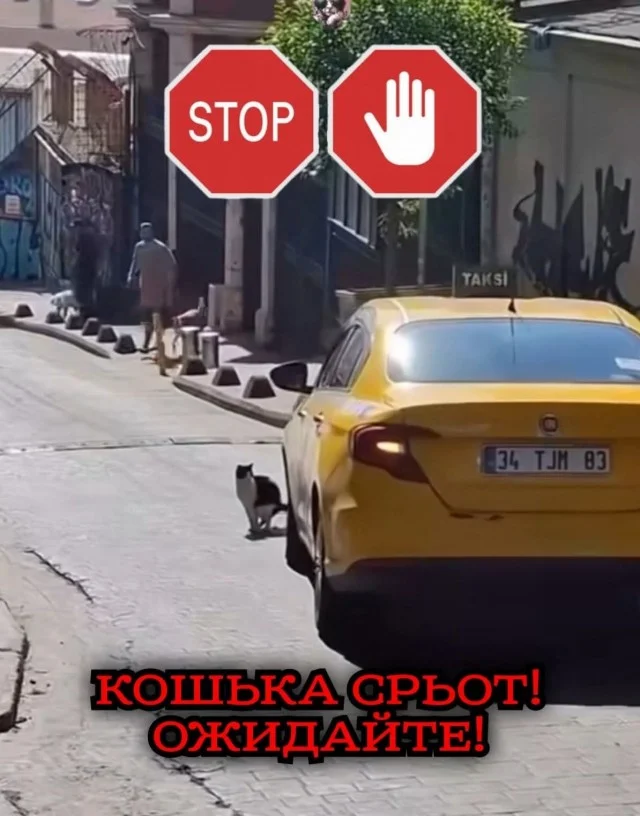 Прикольные картиночки!