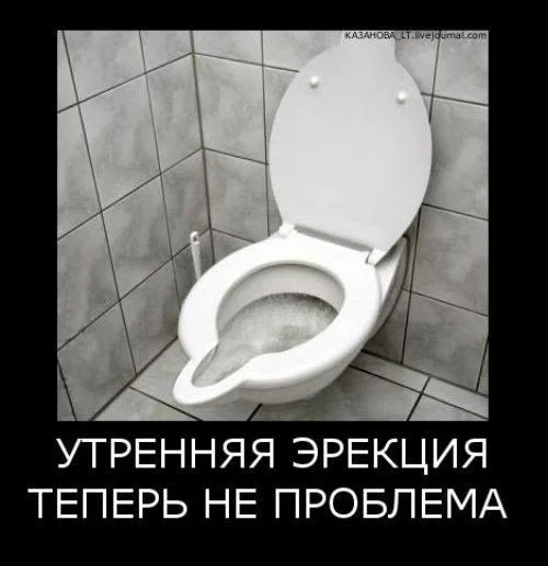 Нестандартный юмор #453