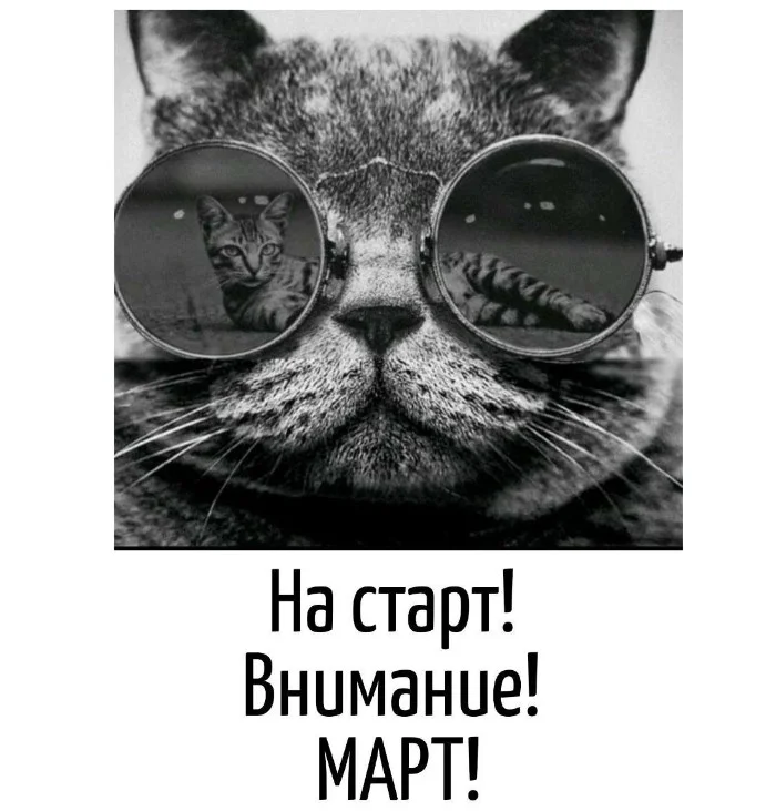 Игра слов – каламбуры, словесный юмор и прикольные картинки #108 Игра слов – каламбуры, словесный юмор и прикольные картинки #108