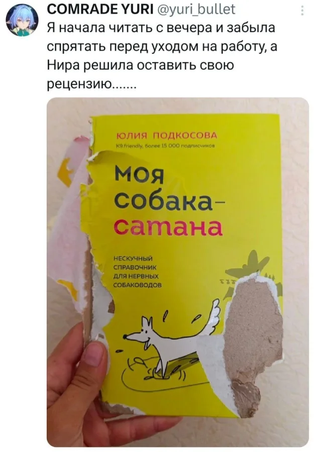 Картинок пачка