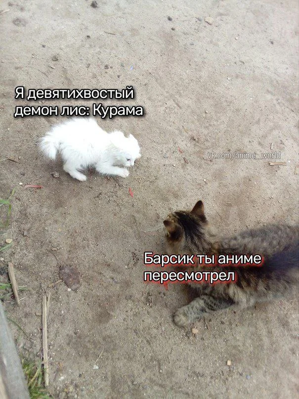 Классные аниме мемы