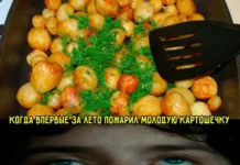 Нереально весело!