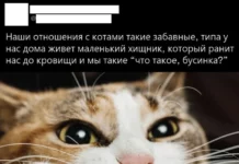 Ура! Картинки!