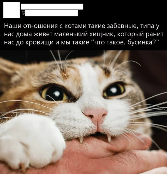 Ура! Картинки!