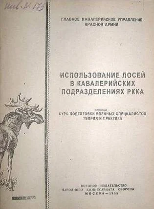 Библиотека сумасшедшего профессора 6