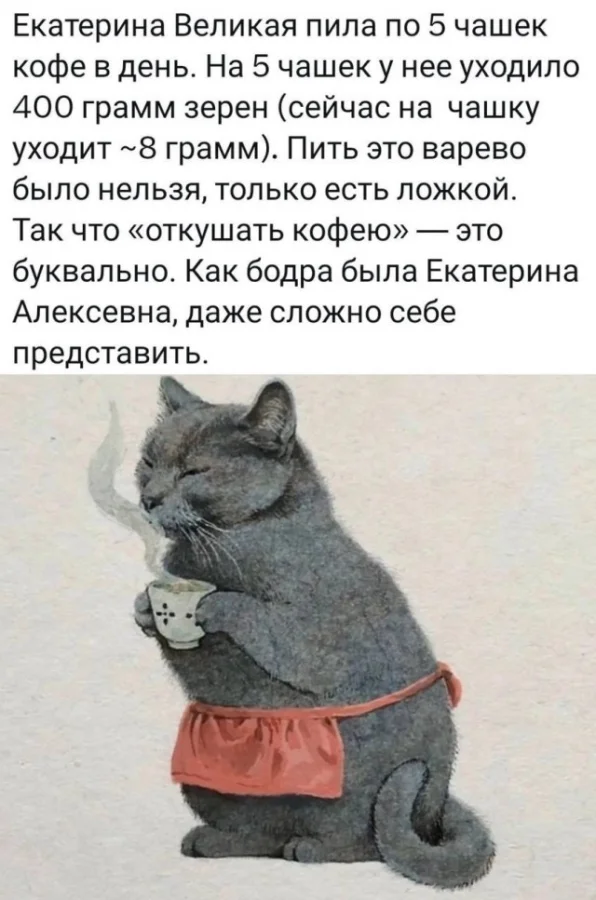 Актуальные приколы