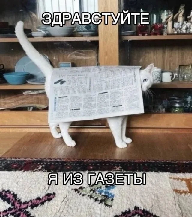 Смешные скрины из соцсетей #93