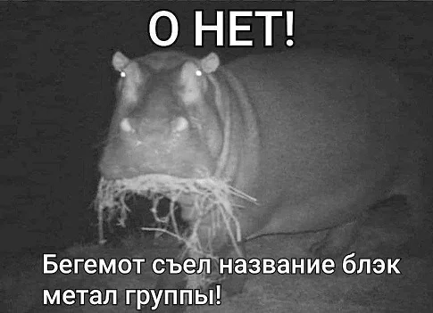 Просто картинки