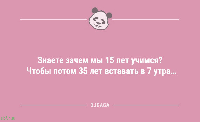 Анекдоты для отличного настроения: «Жизнь — это миг между…» 