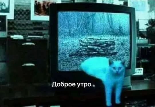 Смешные скрины из соцсетей #98