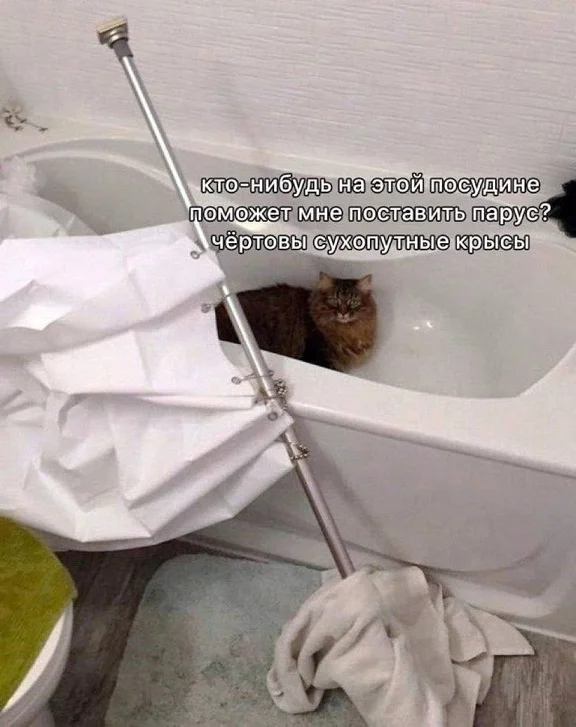 Вот и картинки