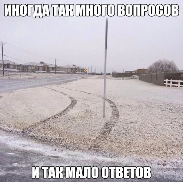 Чернявая дичь