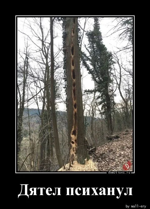 Хаха! Деградация!