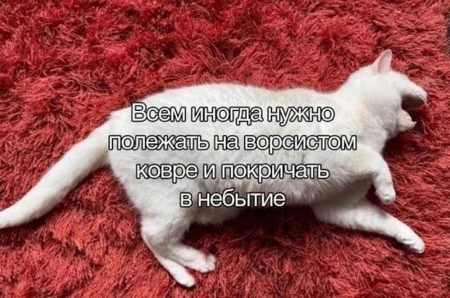 Смешные скрины из соцсетей #98