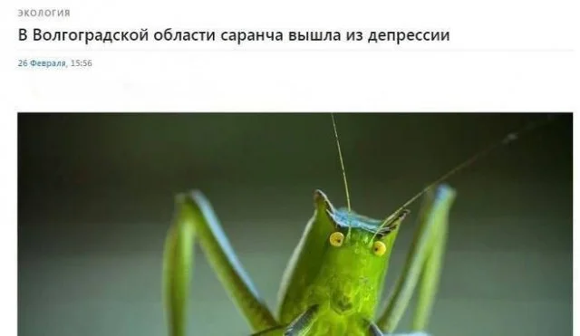 Деградируем по полной