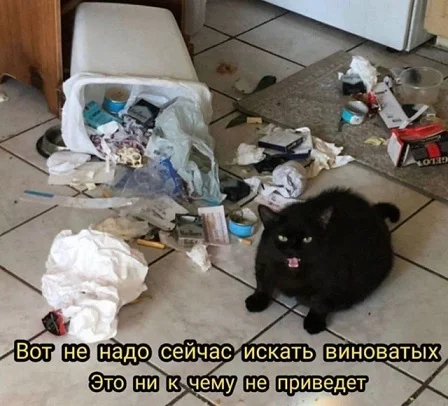 Во-первых картинки!