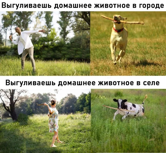 Ещё немного картинок