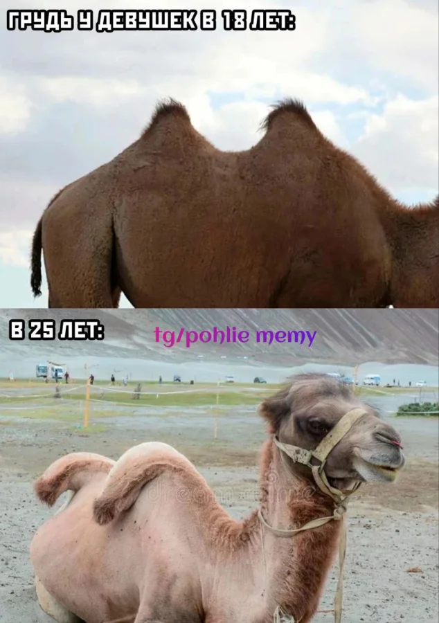 Нестандартный юмор #442