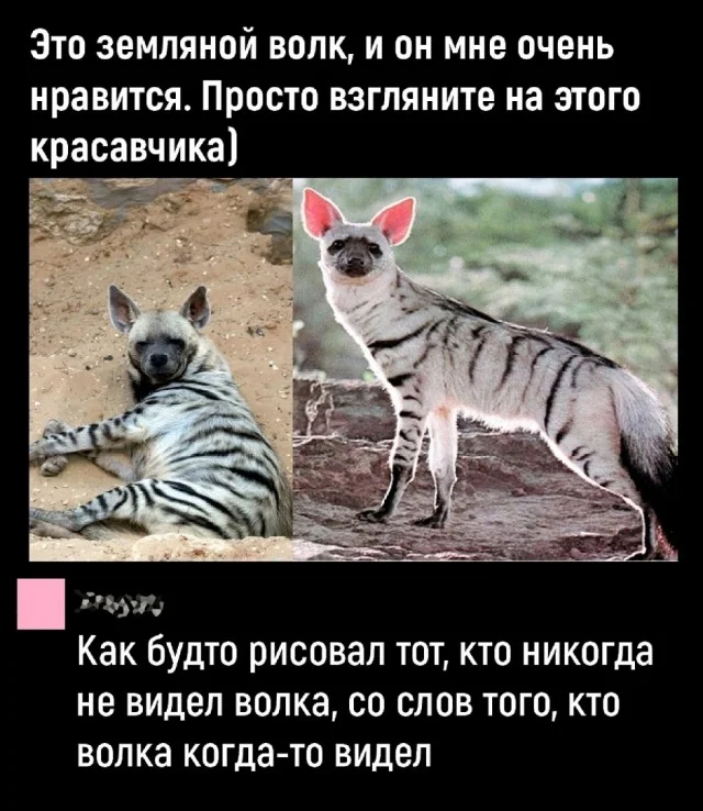 Актуальные приколы