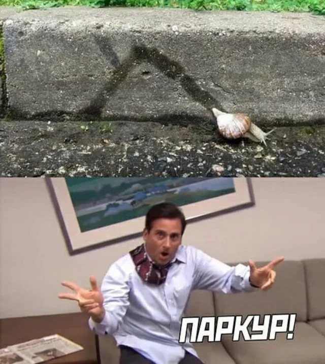 Ещё немного картинок