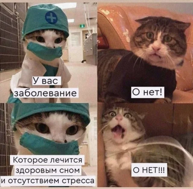 Смешные скрины из соцсетей #90 Смешные скрины из соцсетей #90