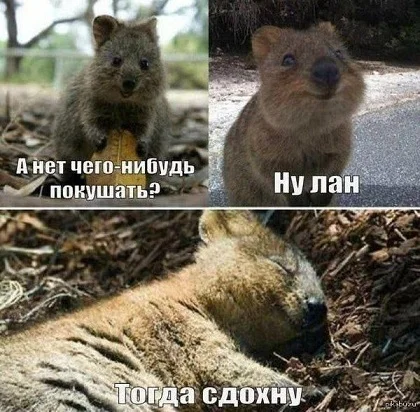 Другие картинки #1