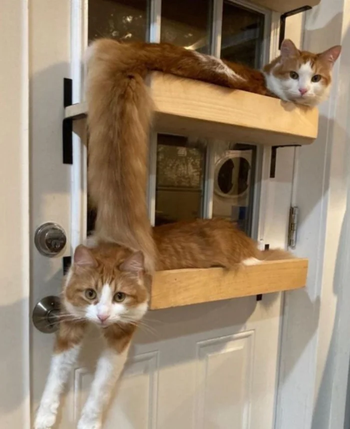 22 фото-иллюзии, которые обманут ваш взгляд 22 фото-иллюзии, которые обманут ваш взгляд