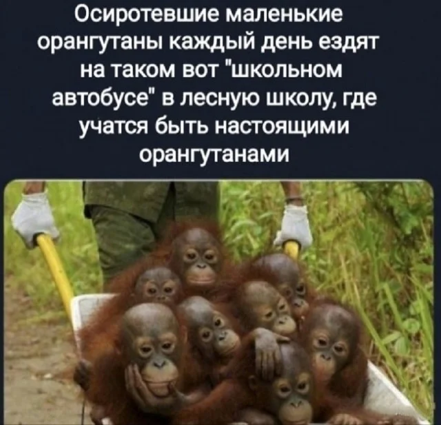 Свежак подъехал: Приколы