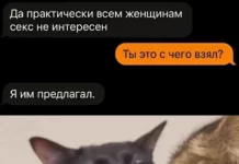 Вау! Свежие картинки!