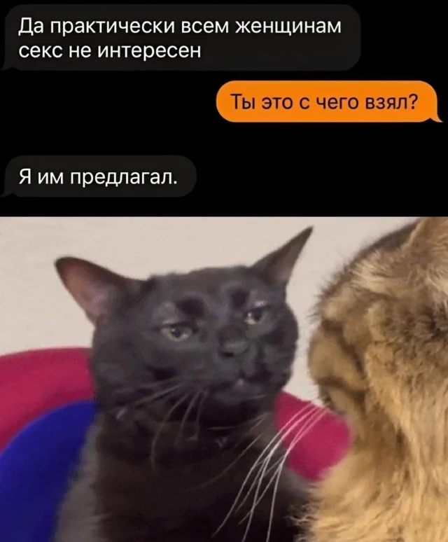 Вау! Свежие картинки!