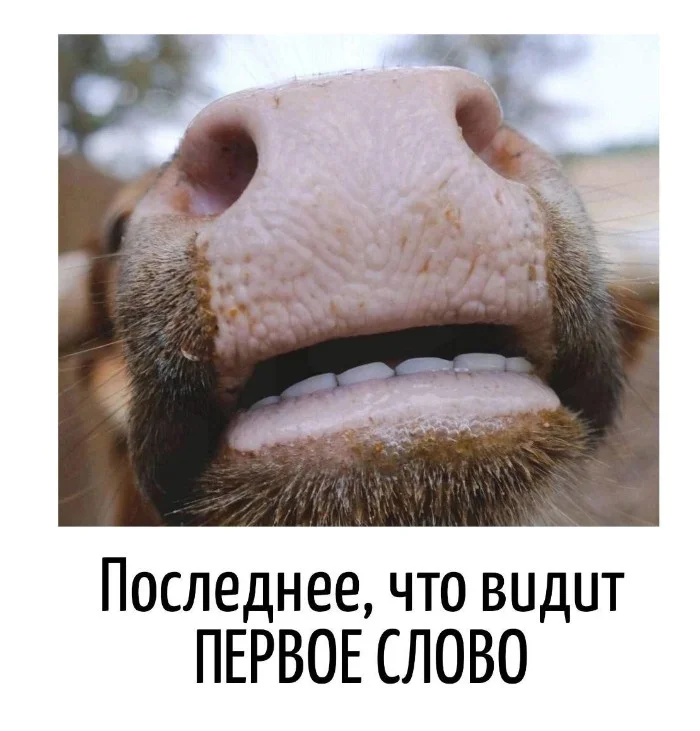 Игра слов #103 Игра слов #103