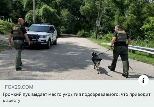 Ещё немного картинок