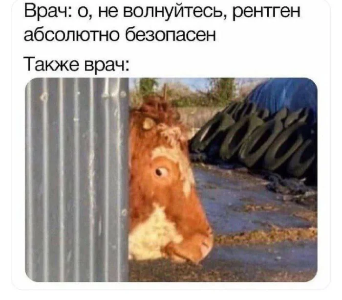 Нестандартный юмор #455 Нестандартный юмор #455