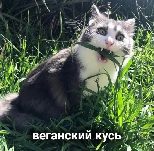 Держите свежие приколы