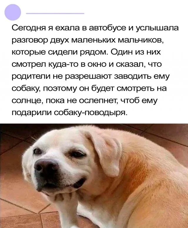 Ха-ха! Прикольные картинки!