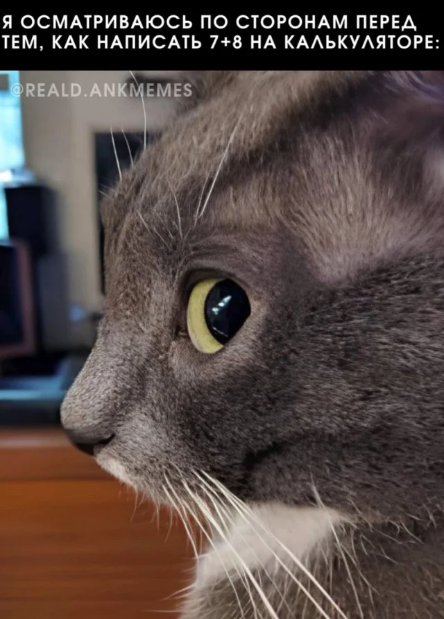 Стырено из ТГ: Картинки